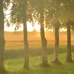 Romantik Luxus Glamping 4 *